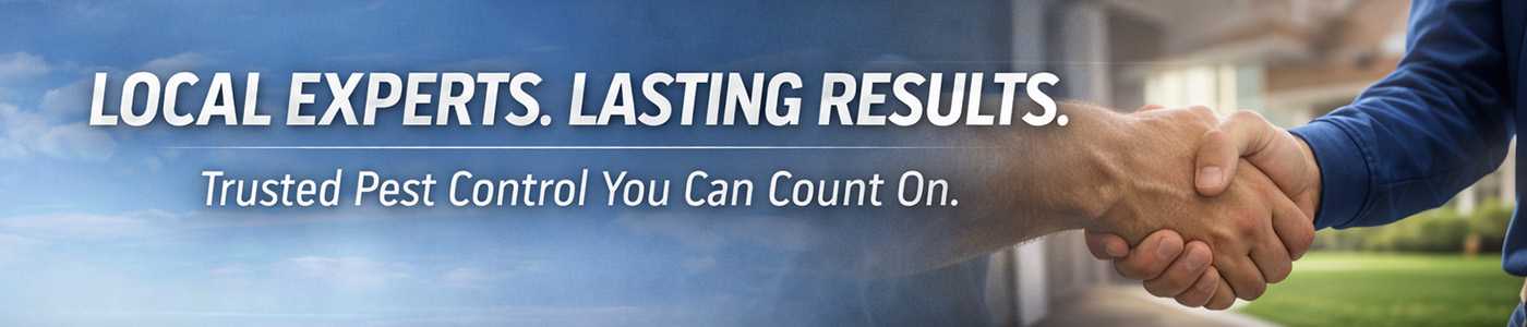 Affordable Bug Service Near Me in Madera, CA