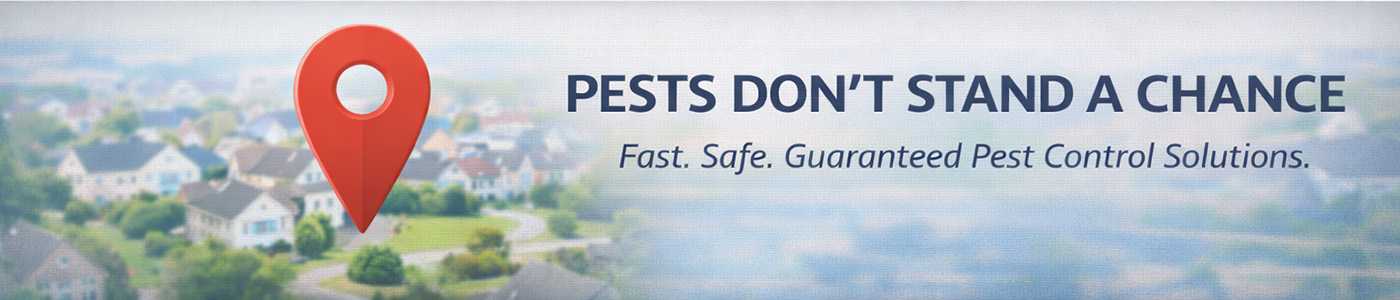 Affordable Bug Service Near Me in Fall River, MA