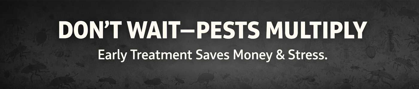 Affordable Bug Service Near Me in Cary, NC