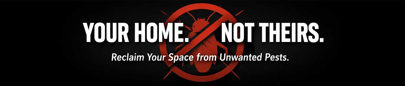 Affordable Bug Service Near Me in Carson, CA