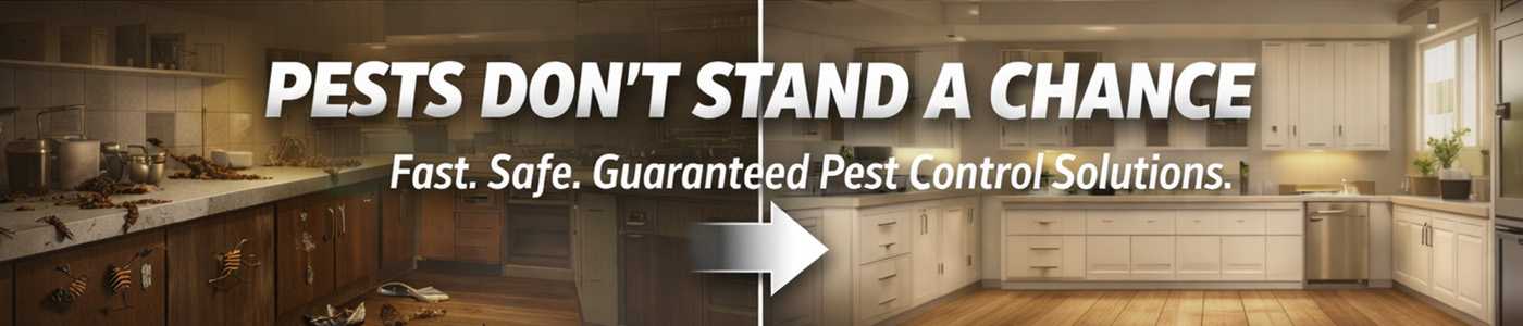 Affordable Bug Service Near Me in Pasadena, CA