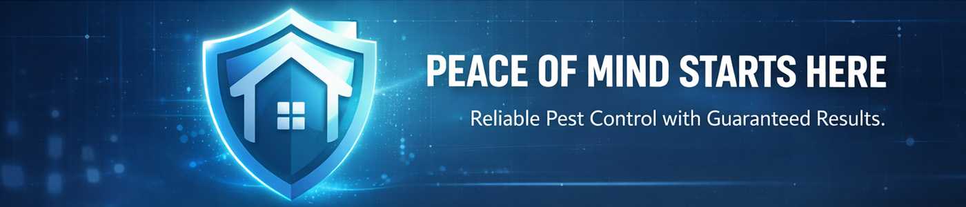 Affordable Bug Service Near Me in Mesa, AZ