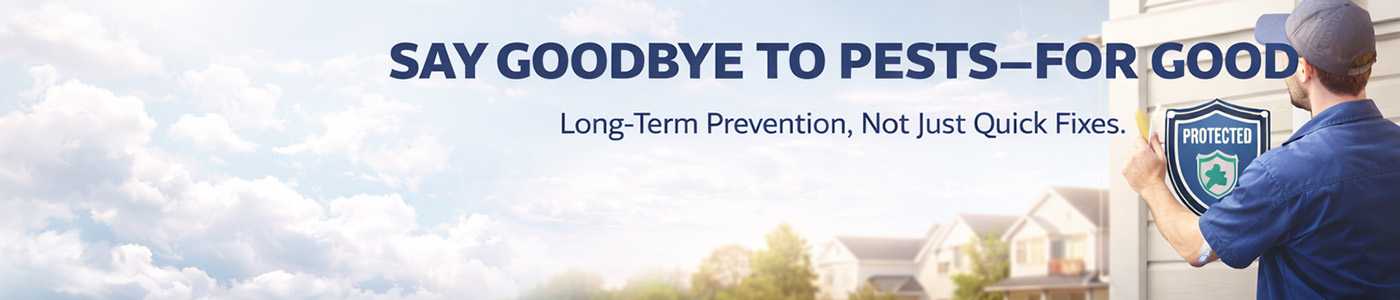 Affordable Bug Service Near Me in Chicopee, MA