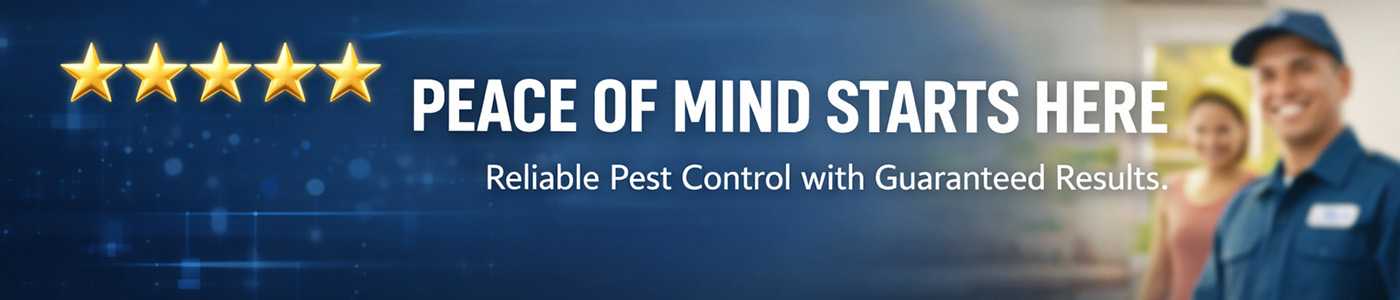 Affordable Bug Service Near Me in Boulder, CO